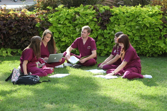 Health Students sitting in a Circle studying